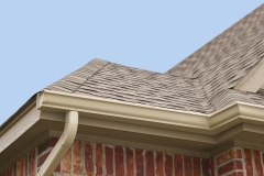 House Roof And Gutters