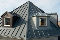 Modern Vertical Roof Windows